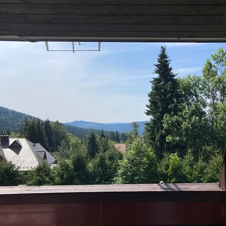 U Zdichyncu Guest house Kubova Hut