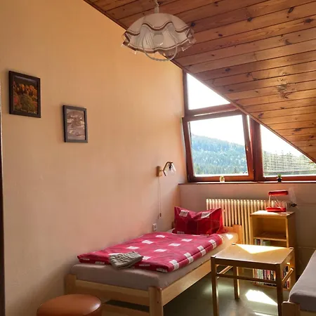 U Zdichyncu Guest house