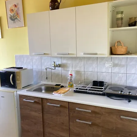 U Zdichyncu Guest house *