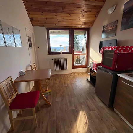 U Zdichynců Affittacamere Kubova Huť