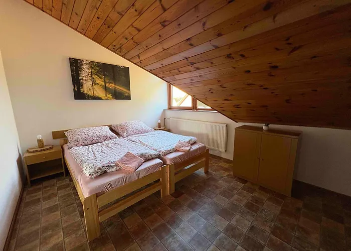 Pensión U Zdichyncu Kubova Huť
